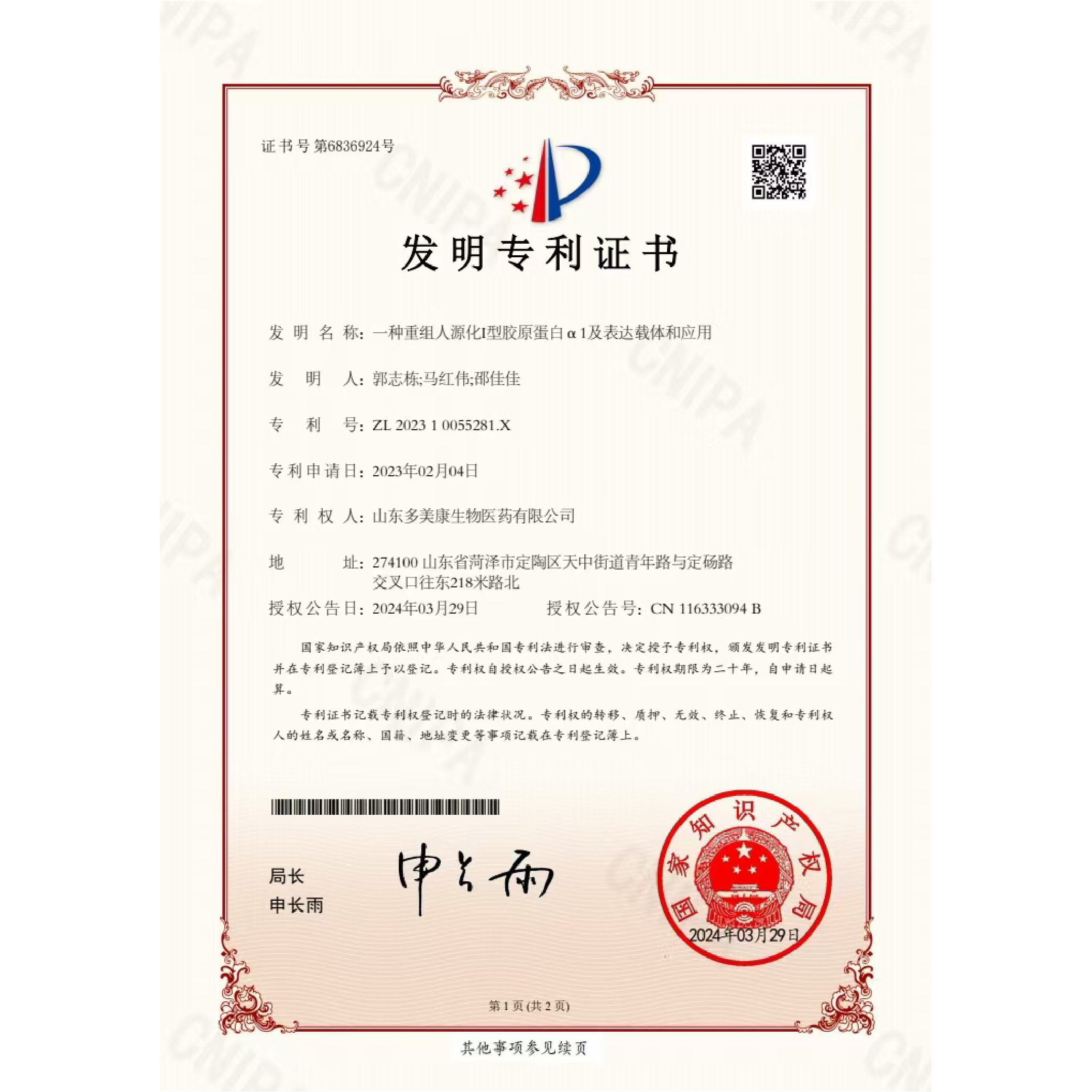 一种重组人源化Ⅰ型胶原蛋白α1及表达载体