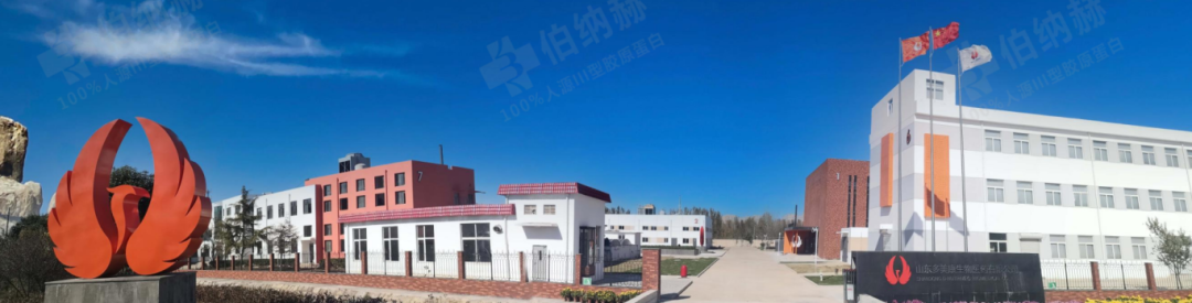 微信图片_20250515095845.png