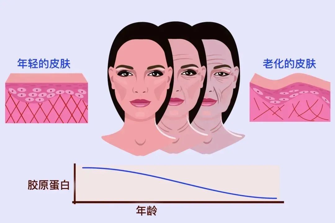 微信图片_20250520161251.jpg 微信图片_20250520161251.jpg