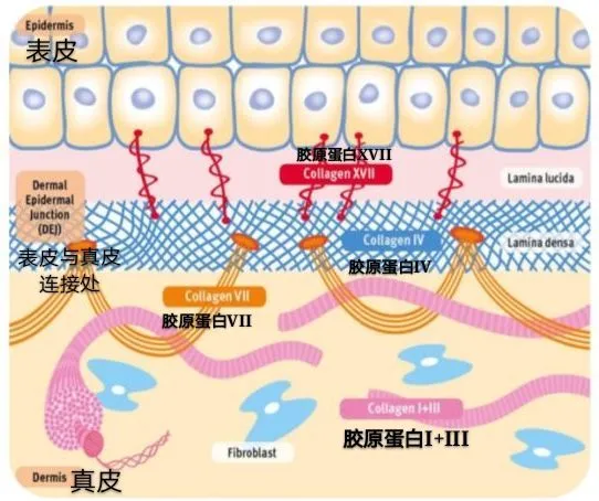 640 (4).webp 640 (4).webp