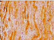 640 (15).png