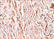 640 (16).png