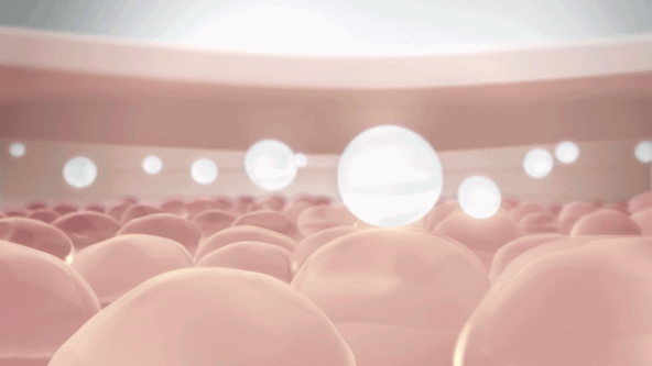 640 (1).gif 640 (1).gif