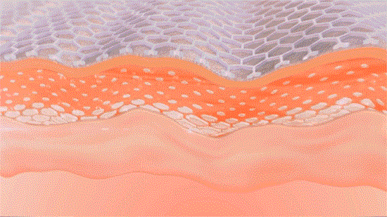 640 (3).gif 640 (3).gif