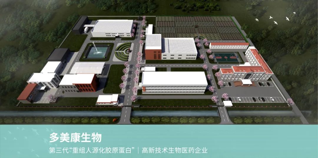 多美康重组胶原蛋白1068：从分子结构到唯象医学的个性化皮肤修复之路