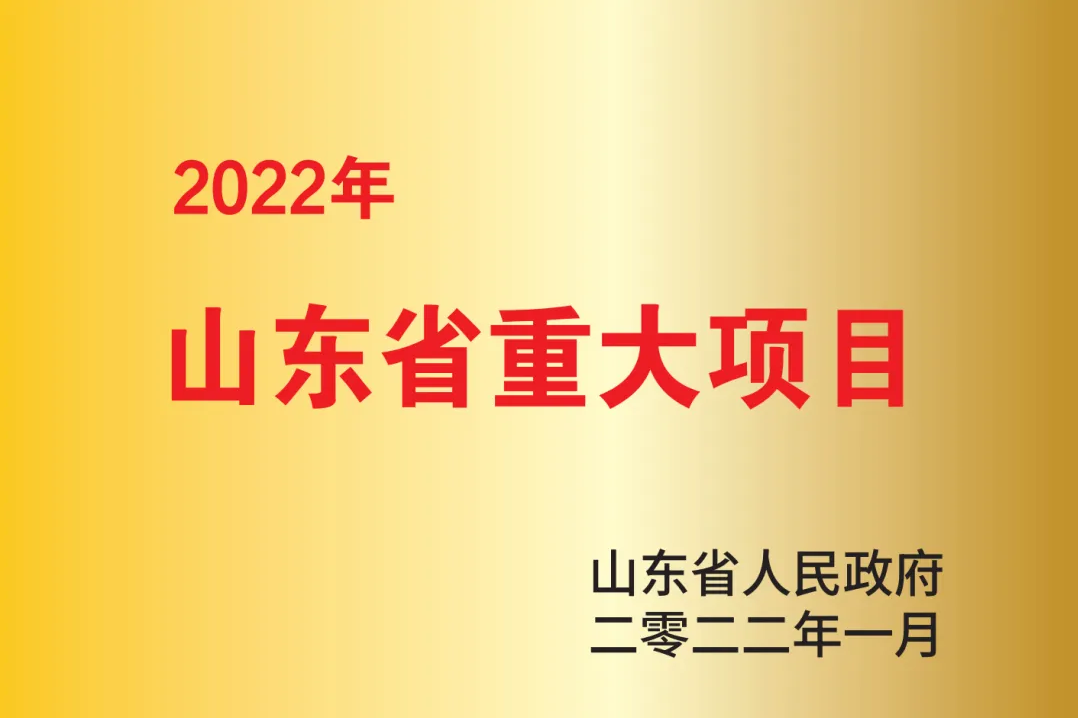 山东省重大项目